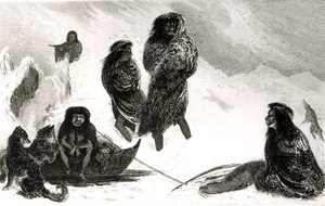 T.Lanseer 1838によって刻まれたパタゴニア人とザパロスで取引しようとするフージ人 作： Robert Fitzroy